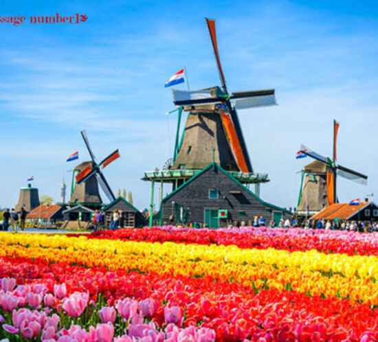 Tourist-Attractions-Amsterdam
